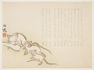 （白ネズミ）、1864年1月 作： Hodai